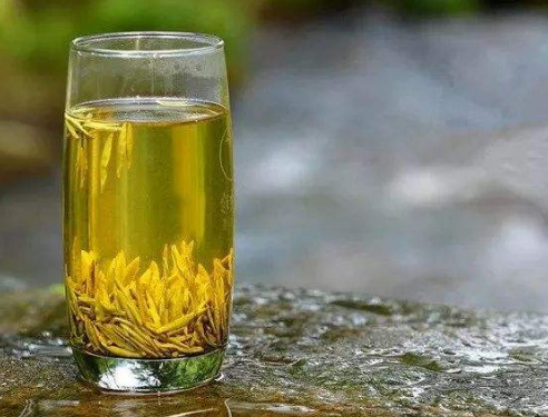  喝黄茶有什么作用 为什么黄茶能预防食道癌 还有减肥的功效