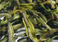  喝绿茶对肾虚的好处 喝绿茶的其他功效 有改善消化不良的作用