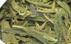  黟山雀舌茶是什么茶 黟山雀舌茶的功效 能预防心血管疾病和预防中风