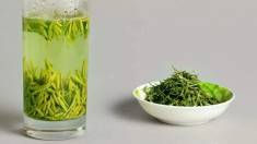  武陵剑兰茶属于什么茶 武陵剑兰茶的保健作用