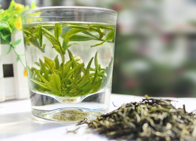  绿茶有什么好处 喝绿茶可以延缓衰老吗 肥胖的人喝绿茶有效果吗