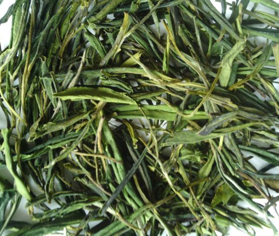  经常喝毛尖茶的好处 能预防口腔炎 清肺解毒 健胃消食