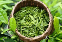  喝南山寿眉茶的好处 南山寿眉茶可以减肥瘦身吗 南山寿眉茶有降血压的作用