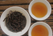  雪山黄龙茶的功效与作用 雪山黄龙茶饮用注意事项与禁忌 黄龙茶适合什么人喝