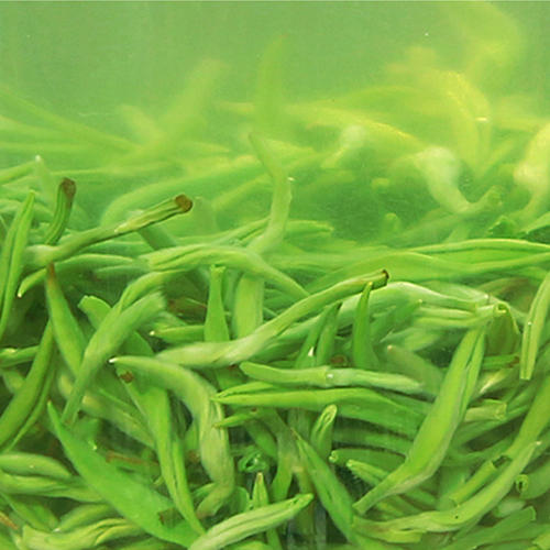  碧螺春茶的功效 碧螺春茶叶的作用 碧螺春的八大好处介绍