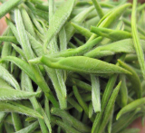  绿茶叶的功效 绿茶叶的副作用 绿茶叶的禁忌