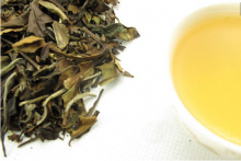  喝白茶的注意事项是什么 喝白茶能防癌 防暑 解毒吗