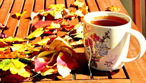 六安瓜片防癌的作用