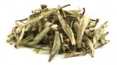  白茶毛尖的作用与功效怎么样？白茶毛尖的四大