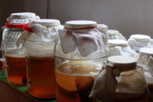  红茶菌的危害有哪些 喝红茶菌的对人体的四大危害一定要知道