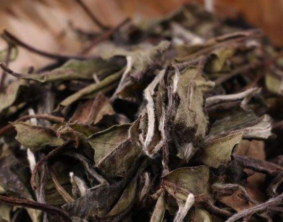  白茶的特点 白茶有消炎降火和养肝护肝的作用吗