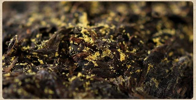  泾阳茯砖茶的营养价值 饮用泾阳茯砖茶的注意事项