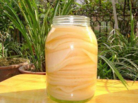  喝红茶菌有什么作用 食用红茶菌的功效和益处都有哪些