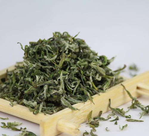  采摘的新茶叶要洗吗 自己炒的绿茶为什么不绿