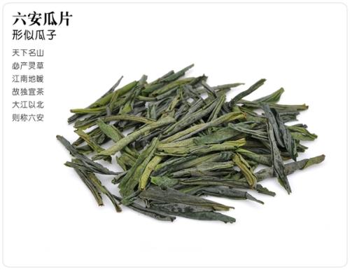  正宗的安徽六安瓜片多少钱 六安瓜片的鉴别方法