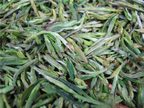  舒城兰花的价格 舒城兰花的保存禁忌