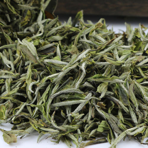  福建的白牡丹茶正常价格是多少钱一斤