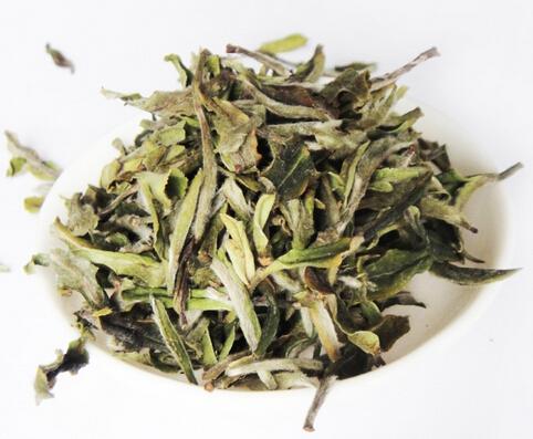  十年福鼎白茶的市场价格多少钱 白茶的加工工艺