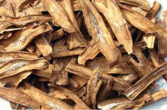  牛蒡根多少钱一斤 2020牛蒡根每斤价格最新市场详情