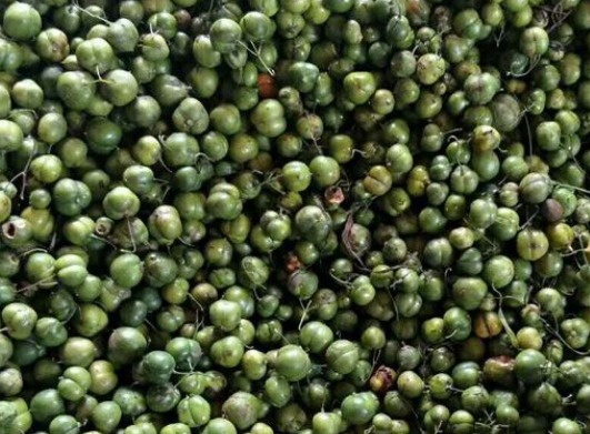  黄精种子多少钱一斤 2020市面上的黄精种子价格详情