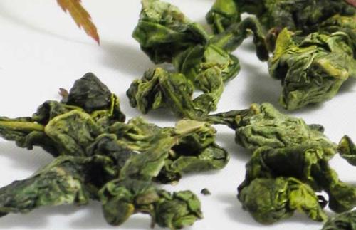  安溪铁观音几个主产区茶叶品质的判别