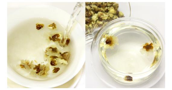  白梅花茶功效 如何冲泡白梅花茶
