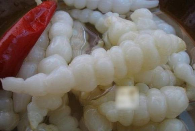  地牯牛多少钱一斤 2020地牯牛的最新市场价格详情