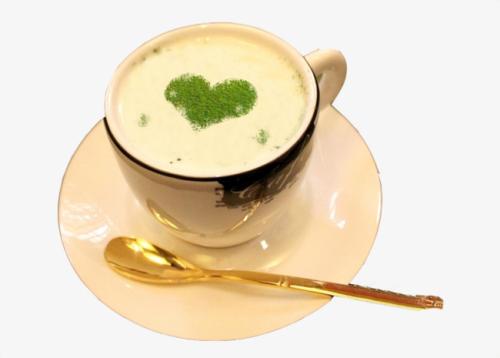  纯牛奶可以和绿茶一起煮吗 如何用绿茶制作奶茶
