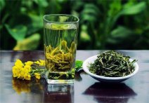  绿茶喝多了会怎么样 多喝绿茶有什么坏处