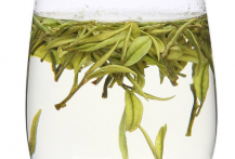  绿茶和菊花搭配喝的好处 绿茶有增强免疫力的作用