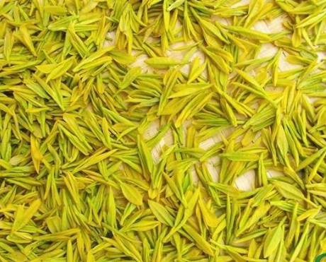  黄茶有什么功效 黄茶的种类 冲泡黄茶的投茶量是多少
