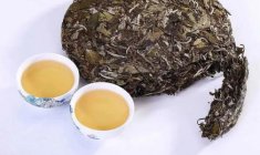  老白茶的作用 老白茶的特点有哪些呢
