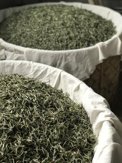  夏天饮用福鼎白茶具体有什么好处呢