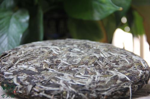  老白茶和新白茶茶的区别 白茶的保鲜方法