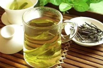  小叶苦丁茶的冲泡方法 小叶苦丁茶的营养价值