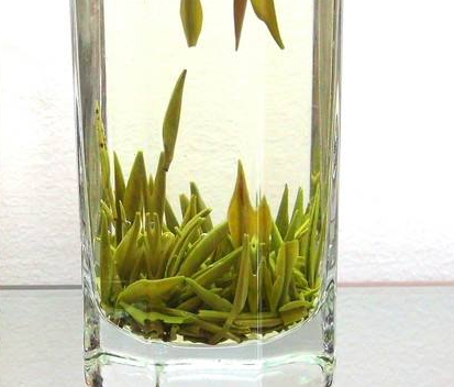  日照绿茶饮用的禁忌 喝多浓茶会伤胃吗 喝新鲜的日照绿茶好吗