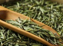  喝绿茶的六大禁忌 喝新鲜绿茶好吗 吃药可以喝绿茶吗