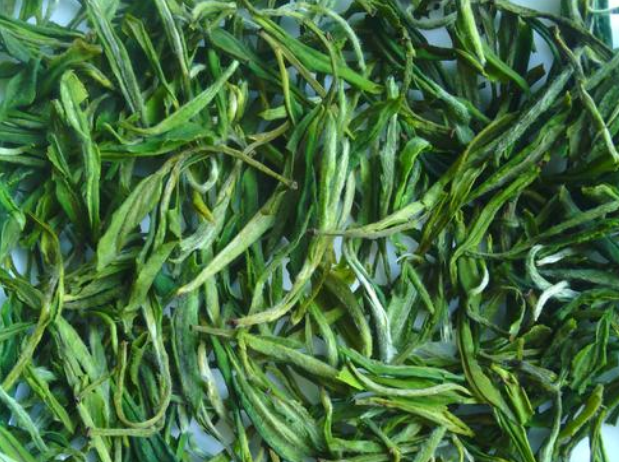  绿茶精华的功效 如何使用绿茶精华 绿茶精华对皮肤有什么好处