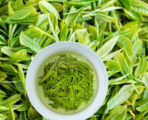  喝绿茶的好处 有预防老年痴呆症和清热解毒的作用