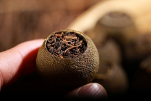  普洱春茶和秋茶的区别 小青柑春茶有什么特点