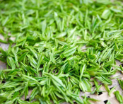  青茶和绿茶的区别 青茶与绿茶的作用