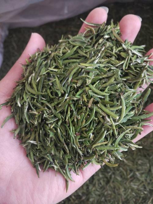  金坛雀舌绿茶是什么茶 金坛舌雀的品质特征