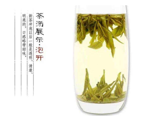  龙井茶报价 西湖龙井怎么样 2020西湖龙井多少钱一斤