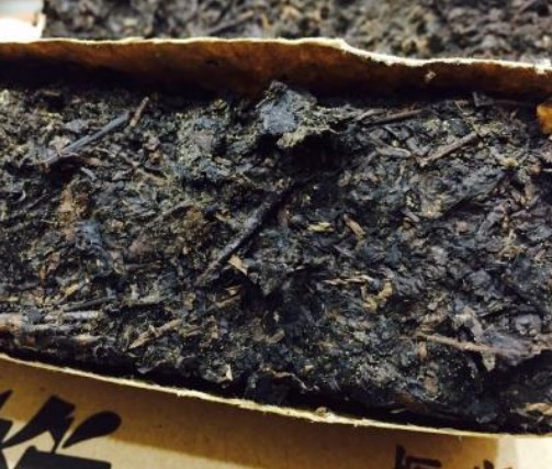  普洱茶熟茶发霉了怎么办 还可以喝吗 普洱茶霉变的处理方法