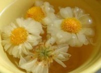  白菊花的药用价值 白菊花的功效作用
