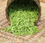  雀舌茶叶多少钱一斤 雀舌茶的作用与功效及禁忌