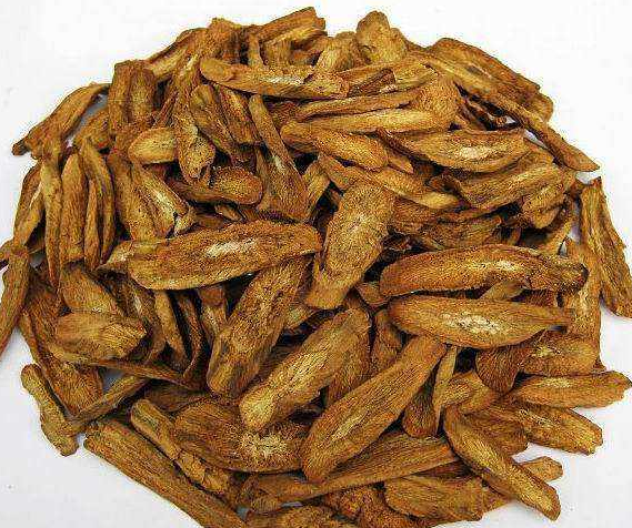  牛蒡茶可以吃吗 牛蒡茶的食用做法大全