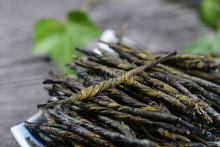  苦丁茶有什么好处 苦丁茶的食用方式 苦丁茶的食用忌讳