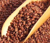  荞麦茶的功效与作用 冬天喝荞麦茶好不好 如何购买荞麦茶