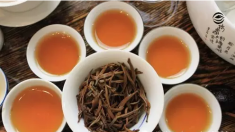  滇红茶的功效和功能 滇红茶怎么冲泡好喝